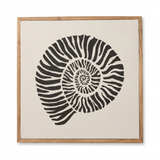 Newlyn 45x45cm Wall Art - Shell III - Laura James