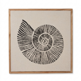 Newlyn 45x45cm Wall Art - Shell III - Laura James