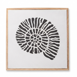 Newlyn 45x45cm Wall Art - Shell III - Laura James