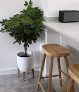 Silvester bar stool - classic oak - Laura James
