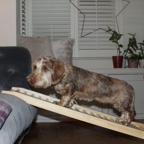 Outlet Wooden Dog Ramp – Laura James