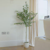 Kew Olive Tree in Cement Pot - 157cm - Laura James