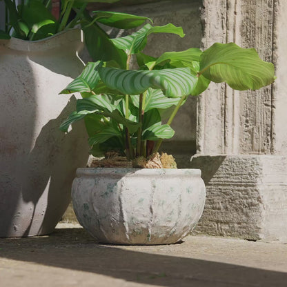 Viana Terracotta 14.5cm Wide Pot - Rustic Green - Laura James