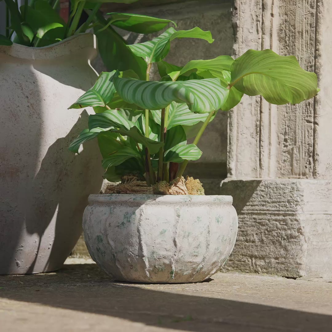 Viana Terracotta 14.5cm Wide Pot - Rustic Green - Laura James