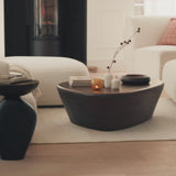 Alder 107cm Coffee Brown Mango Wood Freeform Coffee Table - Laura James 