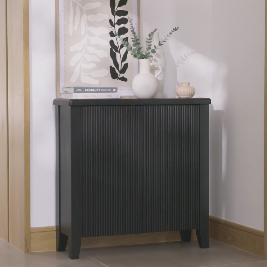 Raleigh 2 Door Small Sideboard - Black – Laura James