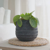 Abala Rustic Grey Cement Plant Pot - Laura James 