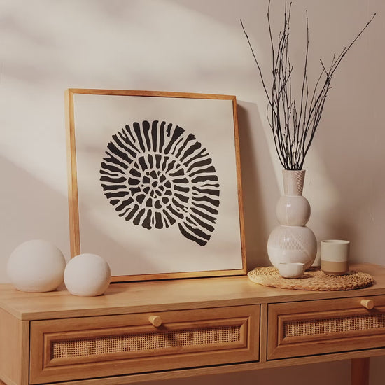 Newlyn 45x45cm Wall Art - Shell III - Laura James