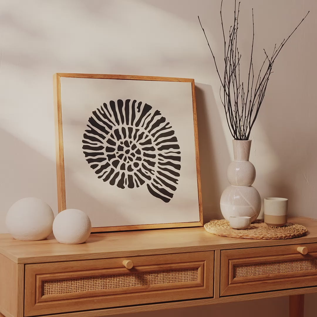 Newlyn 45x45cm Wall Art - Shell III - Laura James