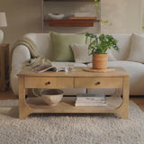 Jade Chalked Mango Wood Rectangular Coffee Table - Laura James