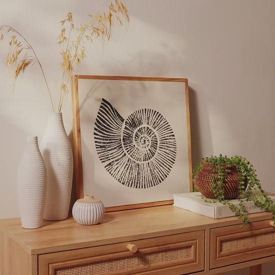 Newlyn 45x45cm Wall Art - Shell II - Laura James