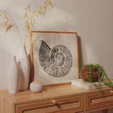 Newlyn 45x45cm Wall Art - Shell II - Laura James