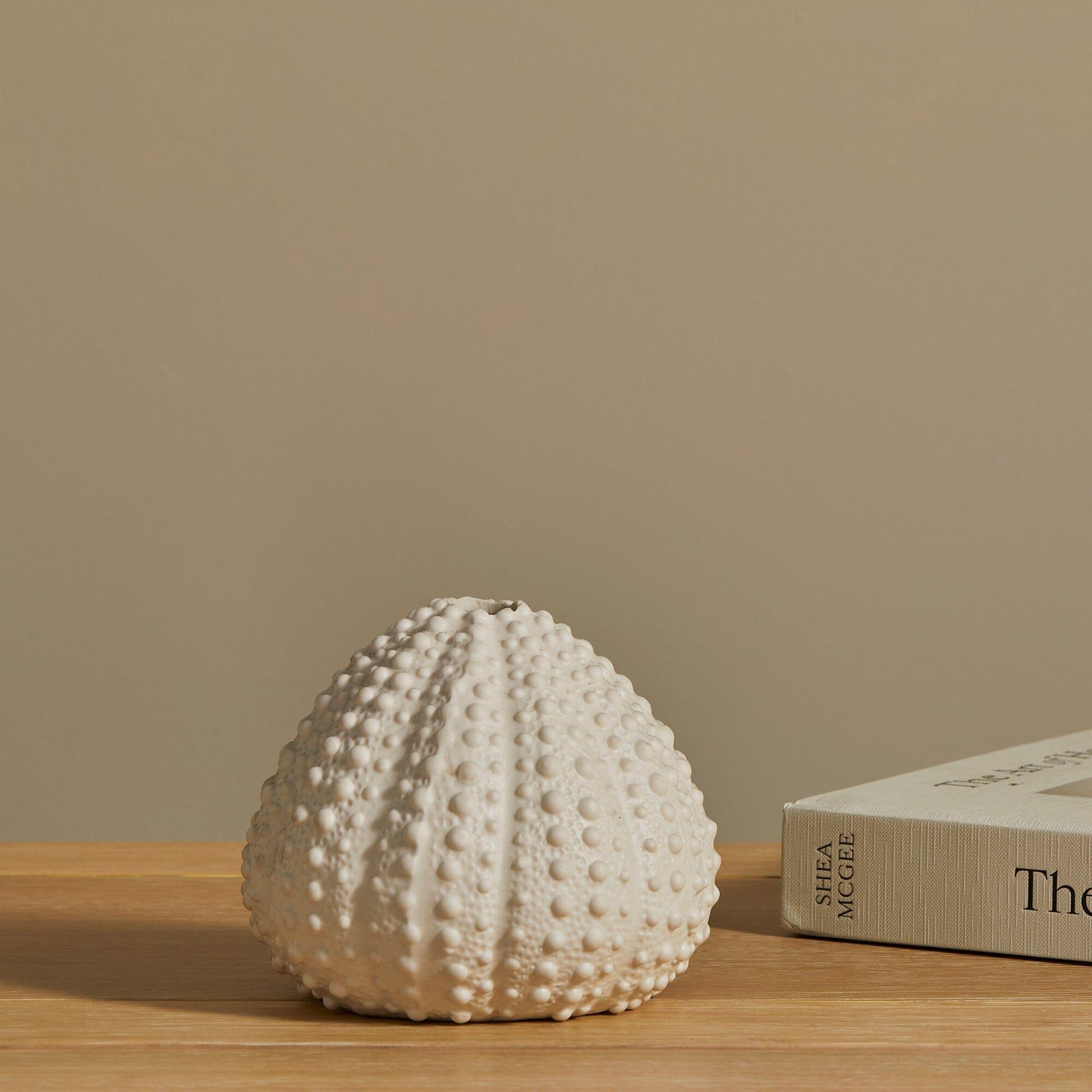 Thurnham 11cm Ceramic Sea Urchin Ornament - White - Laura James
