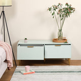 Gloria TV unit - pale sage green