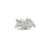 Thurnham 12cm Coral Polyresin Ornament - White - Laura James